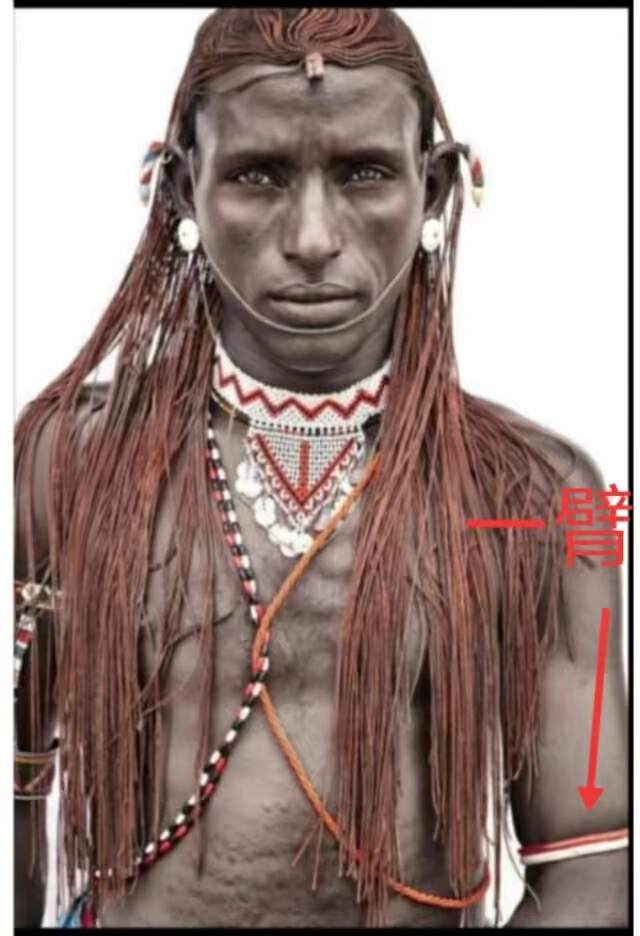 山海经2012白话全译彩图版pdf,山海经海外西经是指哪里