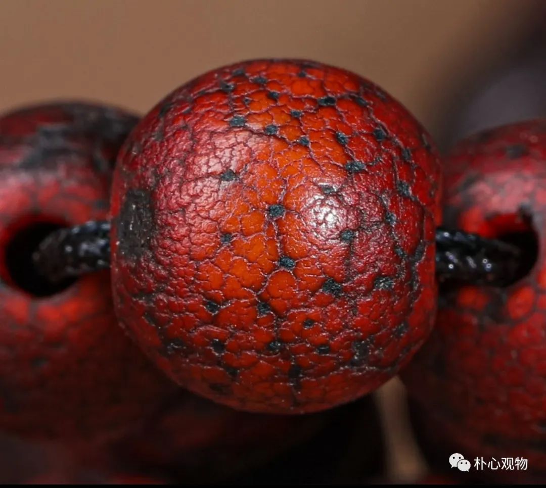 郭哥文玩星月菩提,徐胤