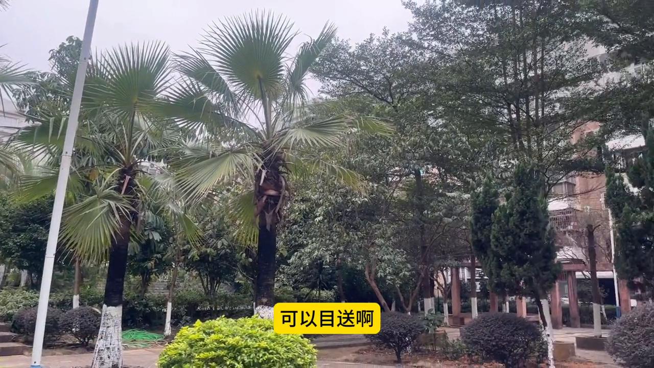 实景拍摄带你看房125平大四房,顺德区北滘天福苑二手房