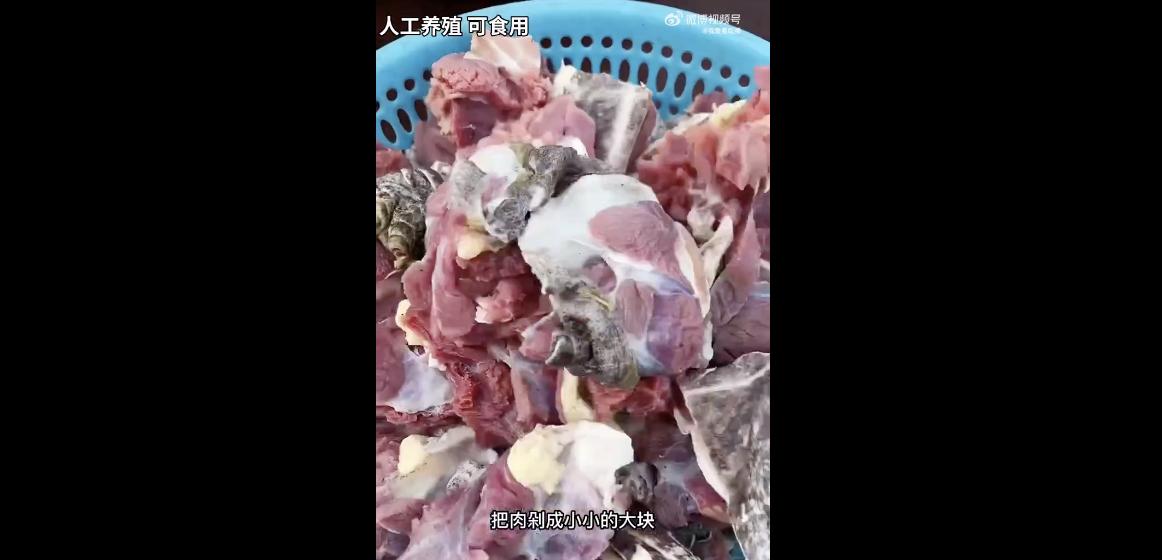 10年以上的刑期会去哪服刑,十年以上刑期和十年以下区别