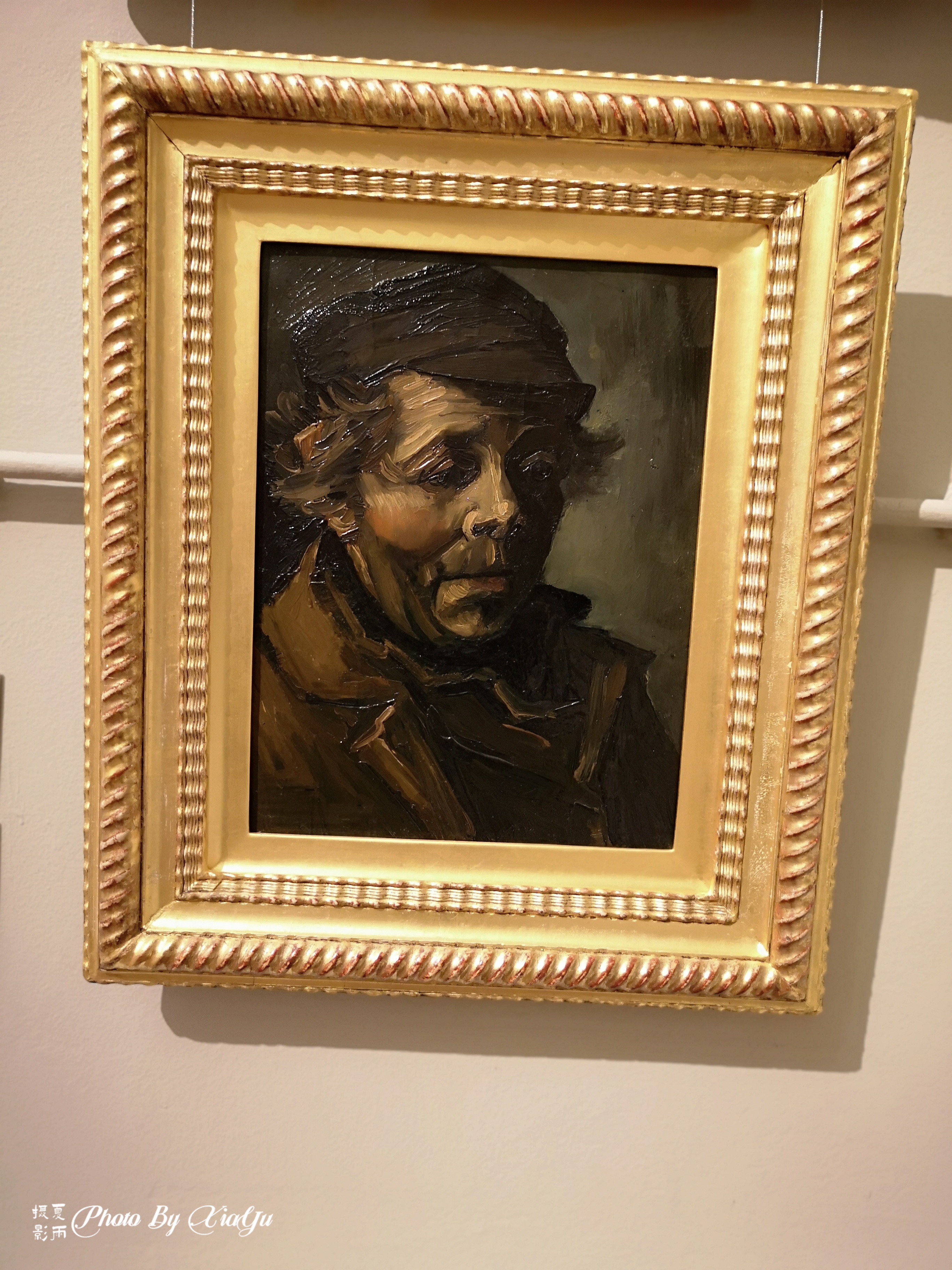 「畅游大洋洲」初识悉尼（五）