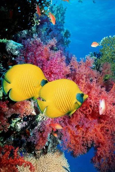 蓝色海景壁纸图片大全,海景壁纸4k超清全面屏