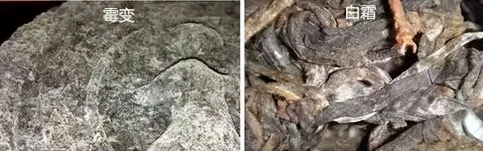 一克熟茶,普洱熟茶三年了能喝吗有毒吗