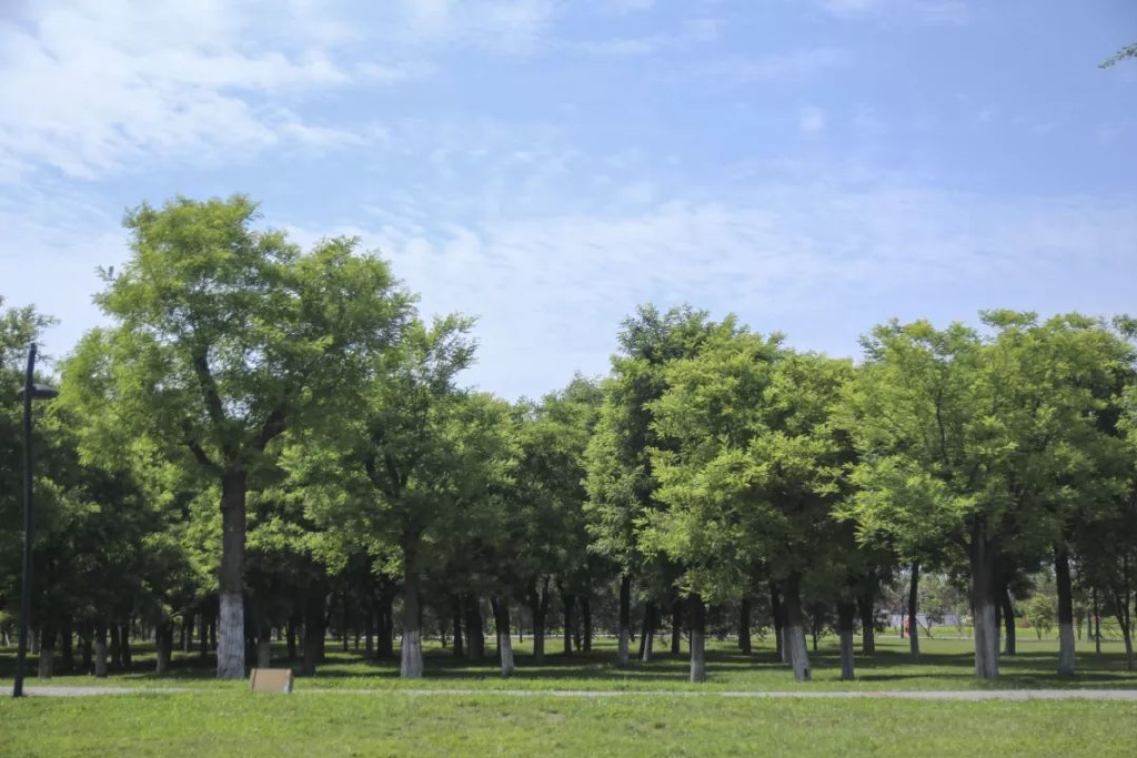 西安周边绿色森林在哪,西安免费森林公园最好玩的地方