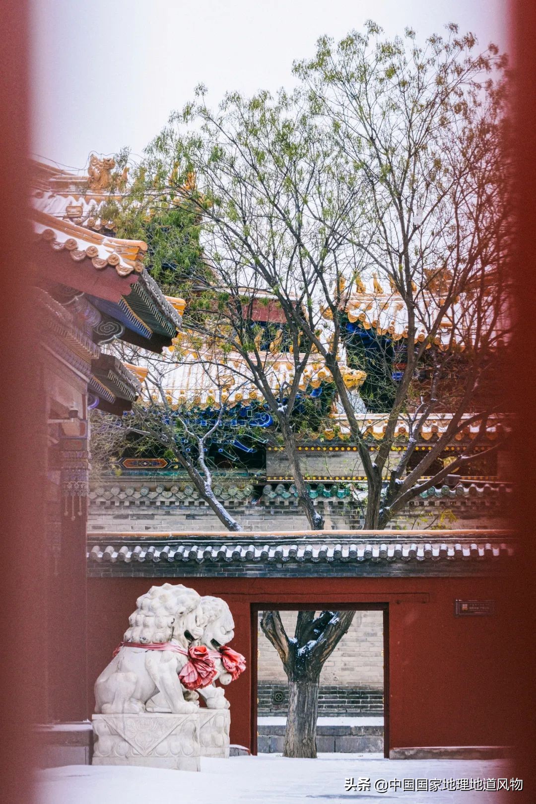 内蒙古呼和浩特的特点,内蒙古呼和浩特有什么特色