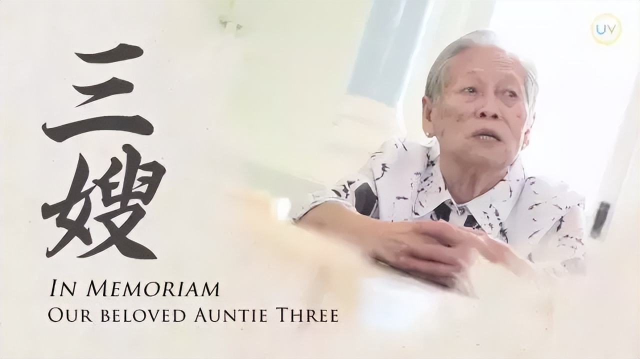 港大名誉院士袁苏妹,港大第一人袁苏妹