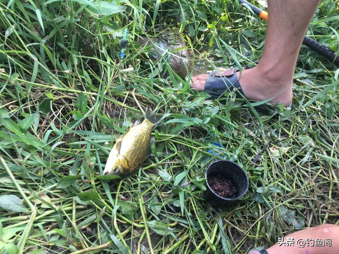 钓鱼人的水平高不高,钓鱼人必备的十大标准