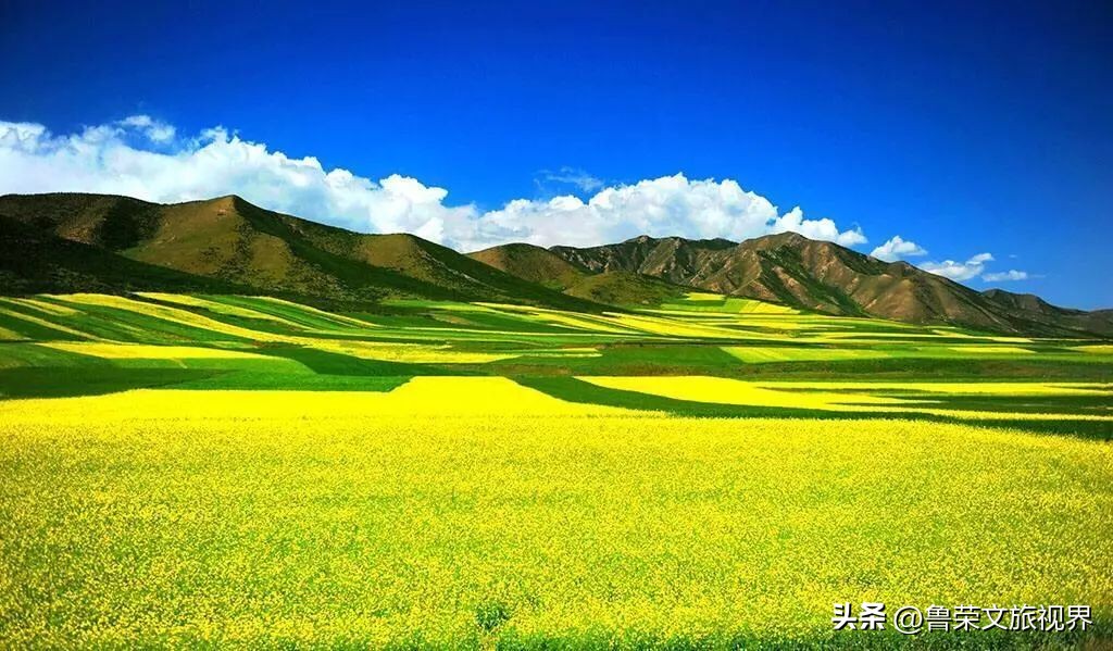 大美新疆的风景有哪些,大美新疆北疆美