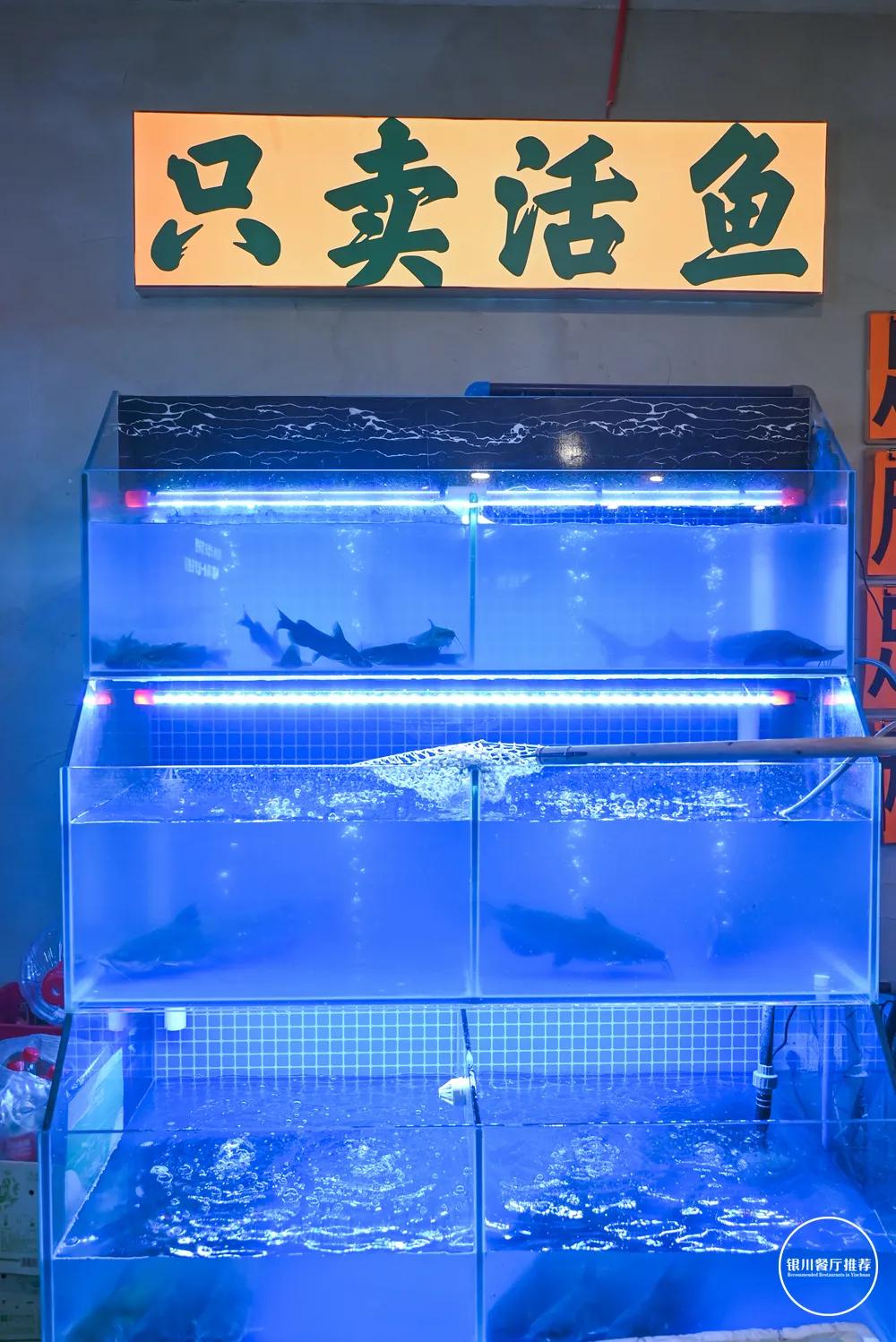 草帽鱼蒸汽石锅鱼团购万象汇,廊坊草帽鱼蒸汽石锅鱼永兴路