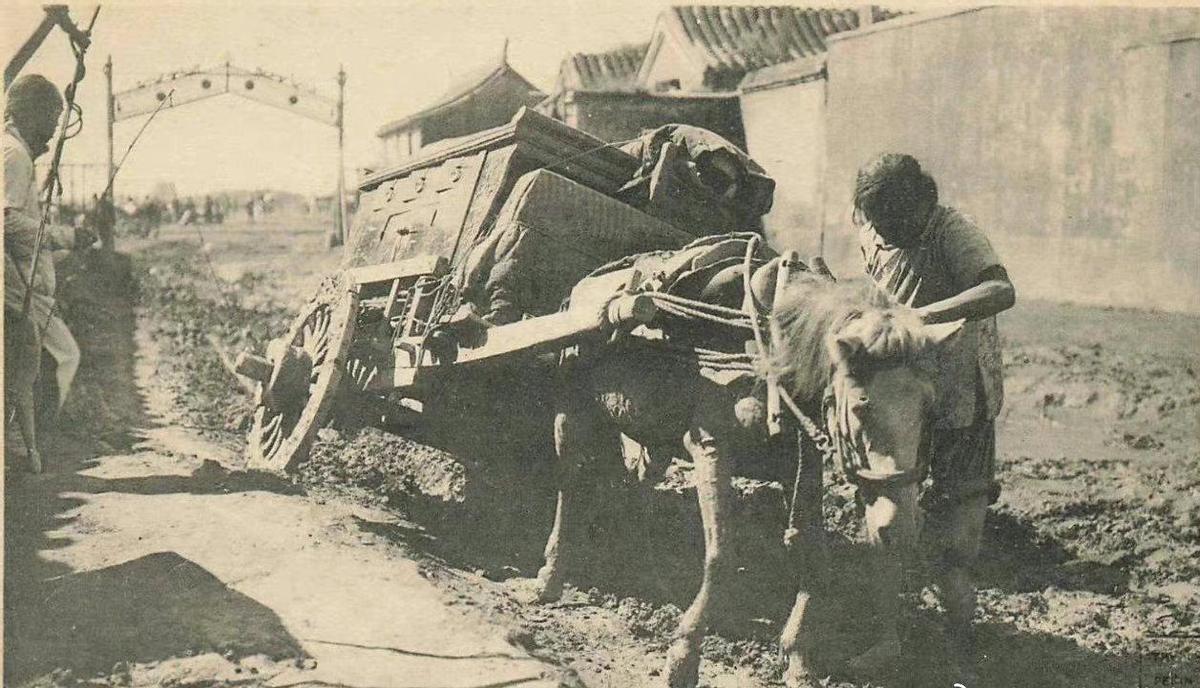 【时光印记】晚清花楼女子30张老照片,丰乳肥臀,仪态万千