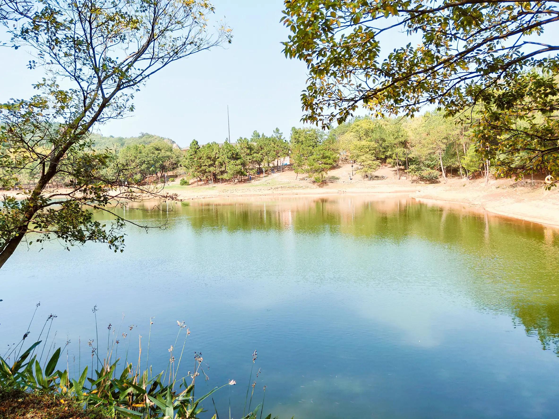 溧水无想山民宿预订,南京溧水无想山露营地点