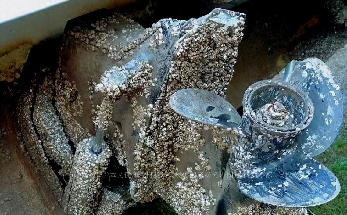 缇庡浗澶勭悊钘ゅ６,缇庡浗娴峰啗钘ゅ６