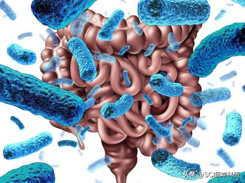 nature子刊四作,nature子刊缺氧癌症