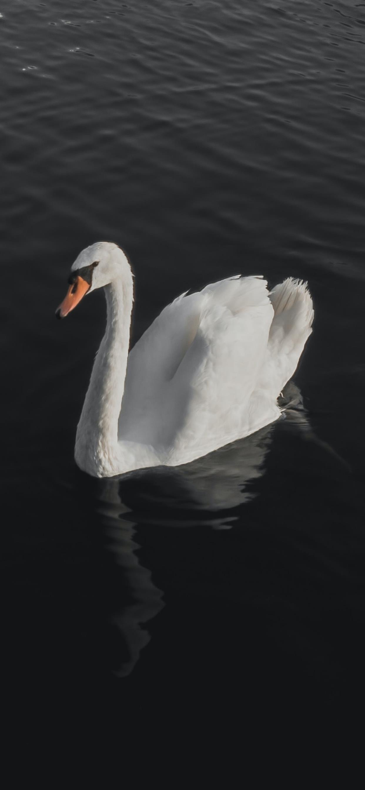 超治愈又好看的手机壁纸,推荐超好看的手机壁纸