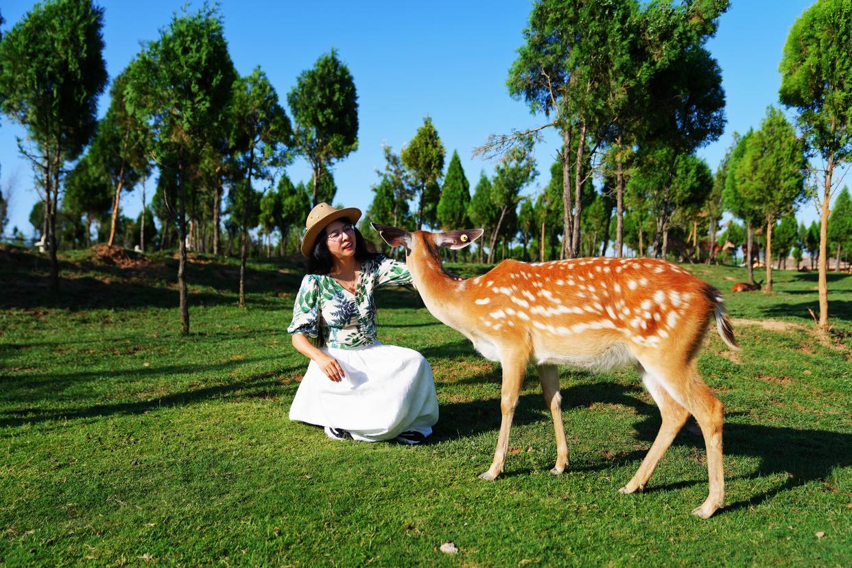 郑州伏羲山旅游攻略吃喝玩乐,郑州周边旅游一日游景点伏羲山