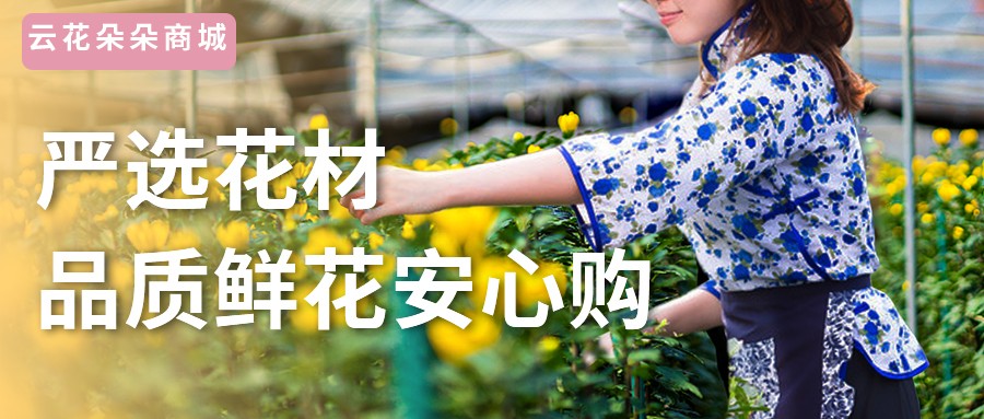 情人节鲜花怎么卖好卖,情人节鲜花如何卖得快