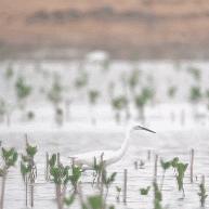 晋江哪个片区最好,晋江发展最快的镇