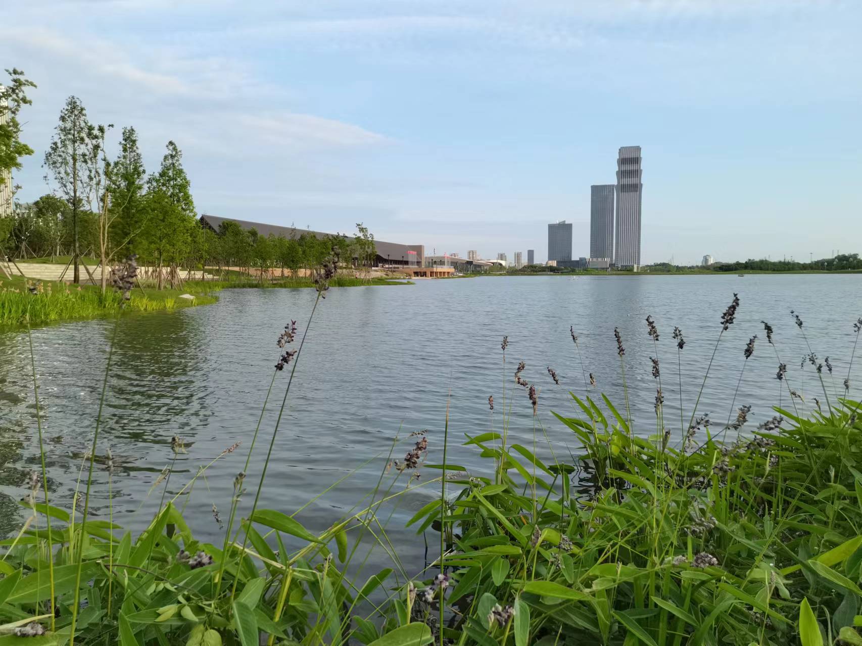 天府新区天府花香谷,成都天府新区花谷