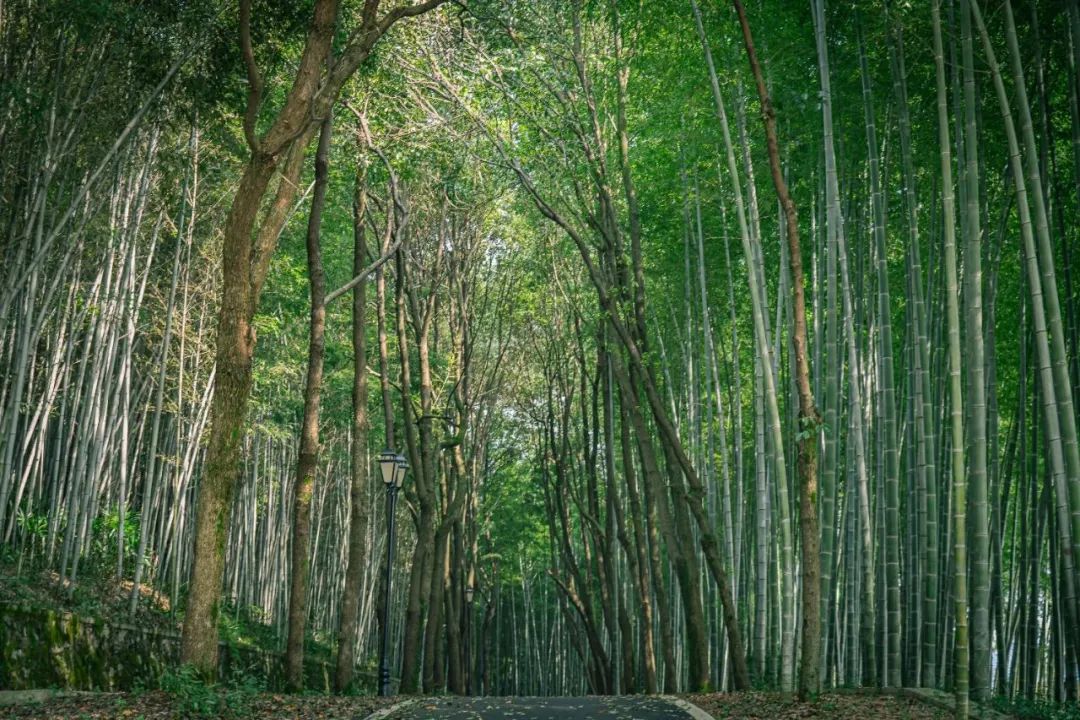 咸宁周边避暑胜地亲子游,湖北咸宁周边避暑