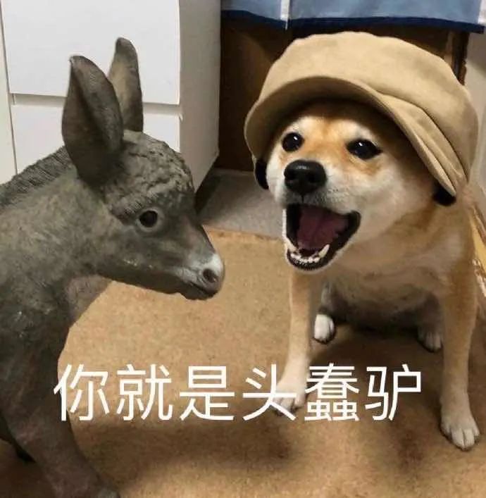 在*裤内**里加燕窝和胶原这种鬼话都说得出来？