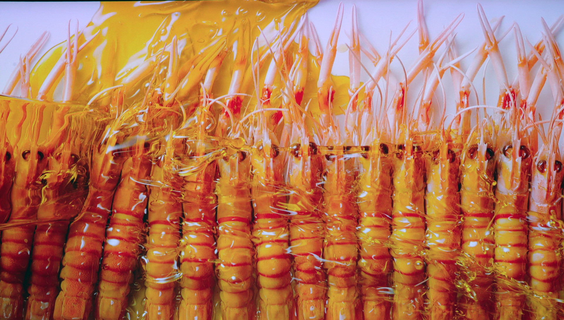 8999元的国产之巅，坚果N1Ultra三色激光云台投影体验