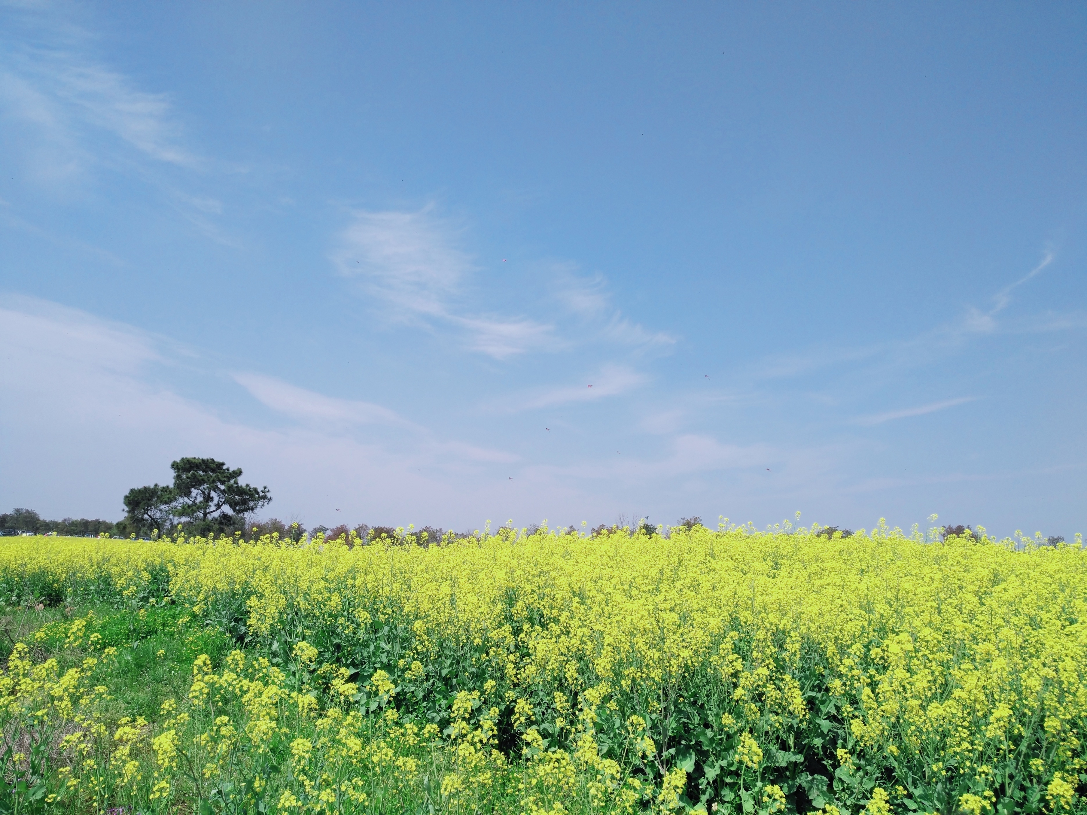南京桠溪慢城风情小镇,南京房车露营旅游攻略