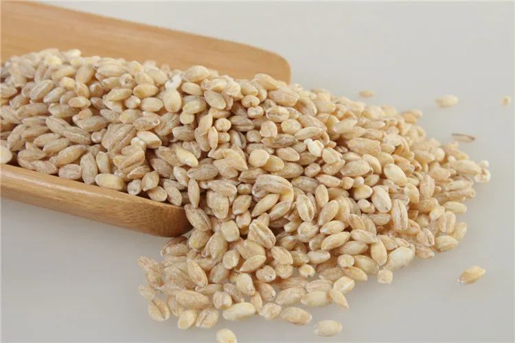 各种豆类杂粮大全,五谷杂粮中的豆类有哪些