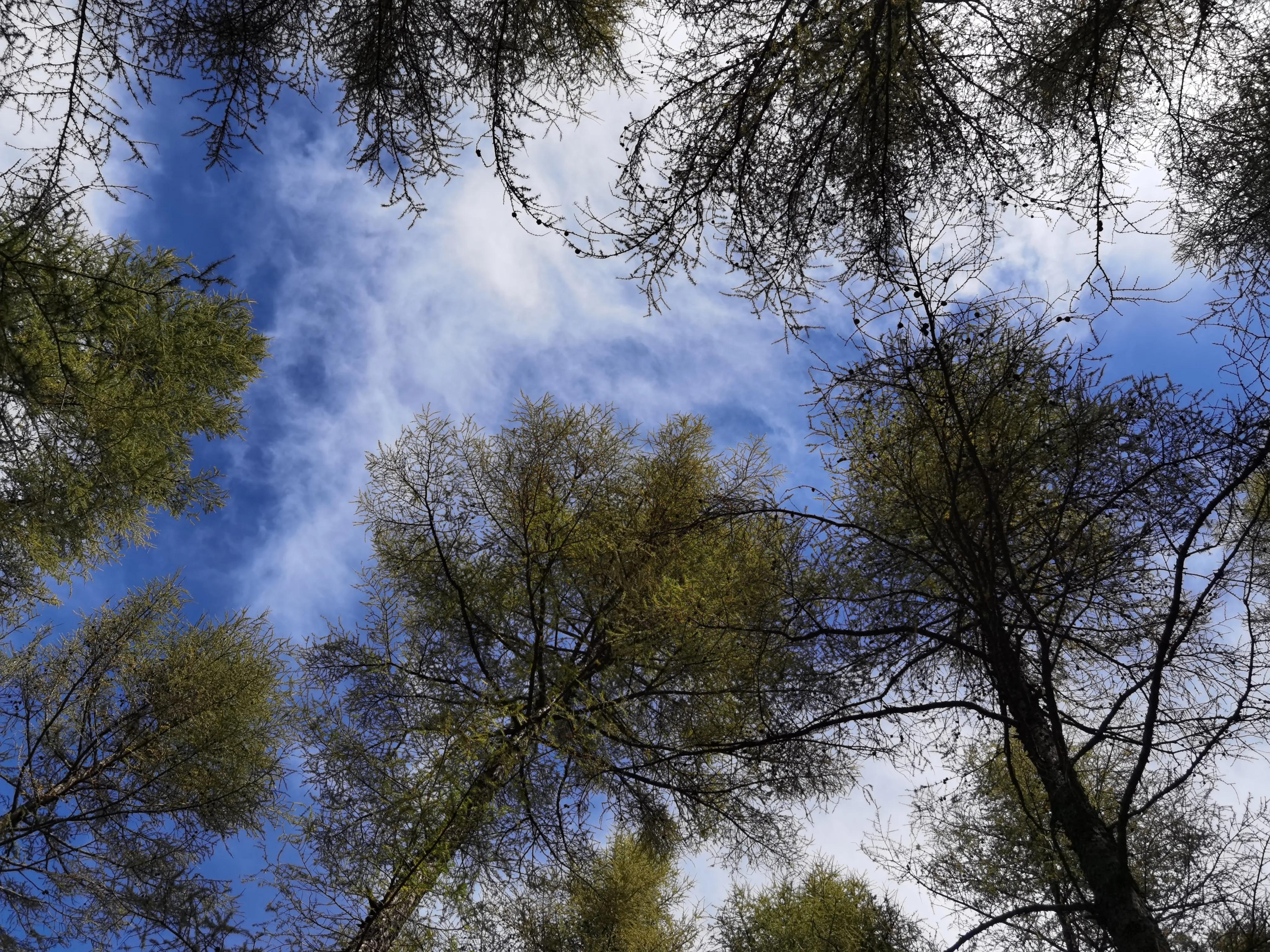 冬季五台山徒步大朝台完整攻略,五台山大朝台徒步一天可以走完吗