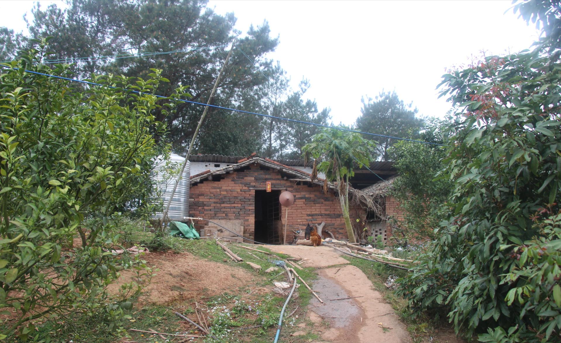 10年前为了苹果手机卖肾的男孩,10年前卖肾男孩现状