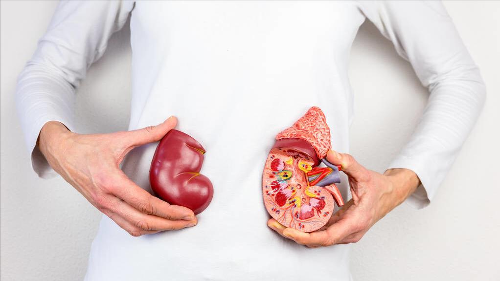 肾脏发出的预警信号你读懂了吗,肾的预警信号