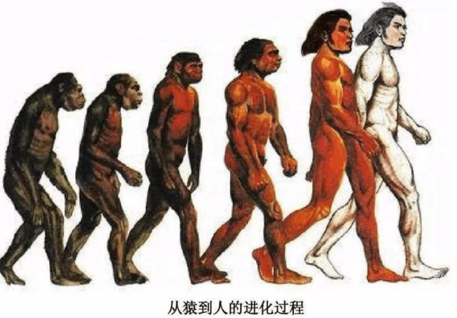 理性评价宝马mini冰淇淋事件,外国对宝马mini冰淇淋事件评论