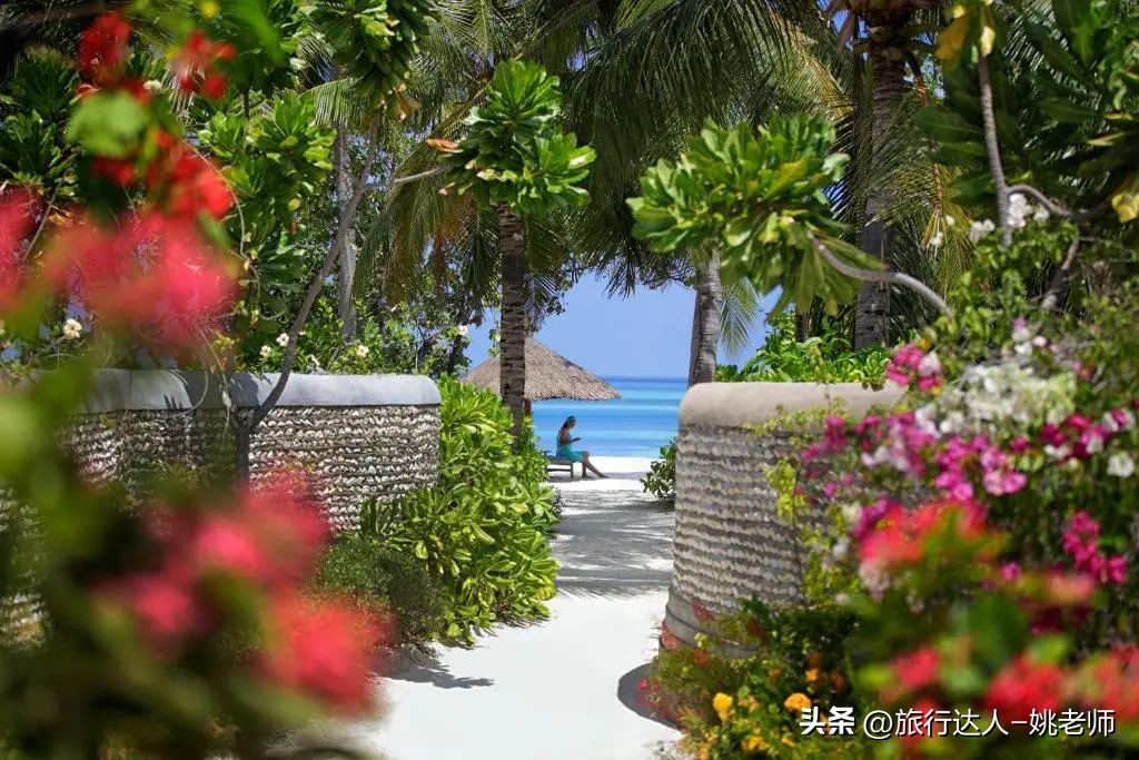 国内有直飞马尔代夫的航班吗 (北京上海直飞马尔代夫复航)