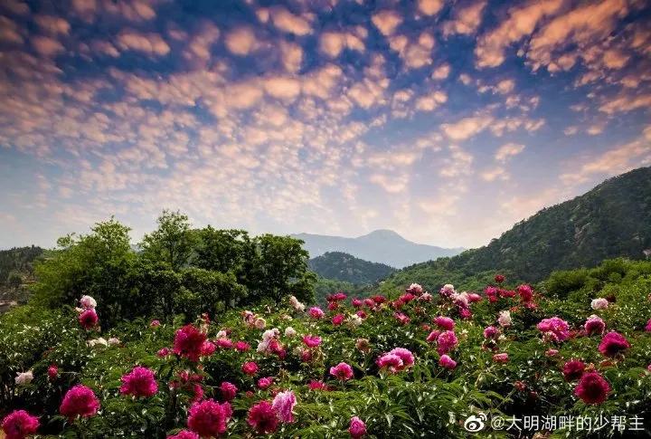俺莱芜有美景|四季予你诗画香山