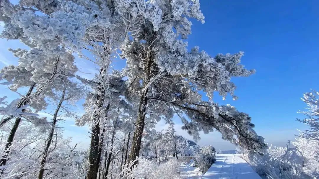 叮~您有一份来自天蒙的订单，请注意签收