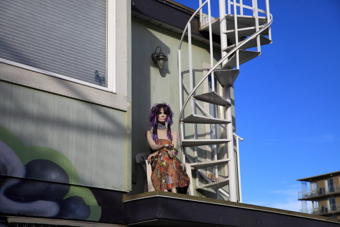 加拿大温哥华岛游记,温哥华维多利亚岛攻略