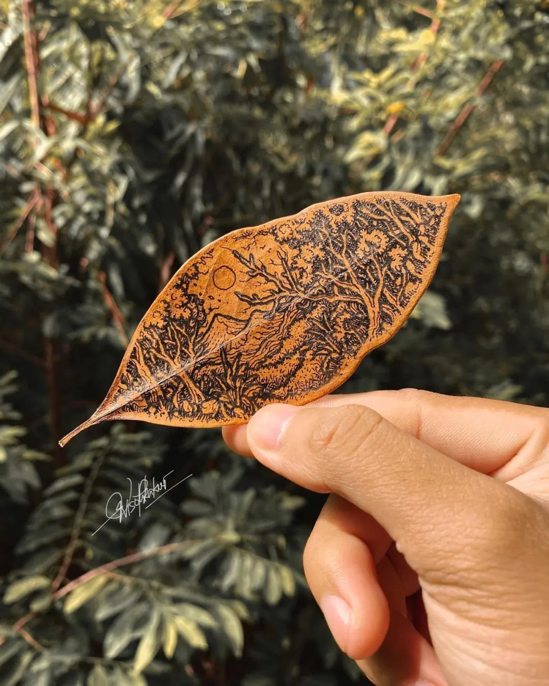 简单治愈强迫症画,让密集恐惧症非常难受的画