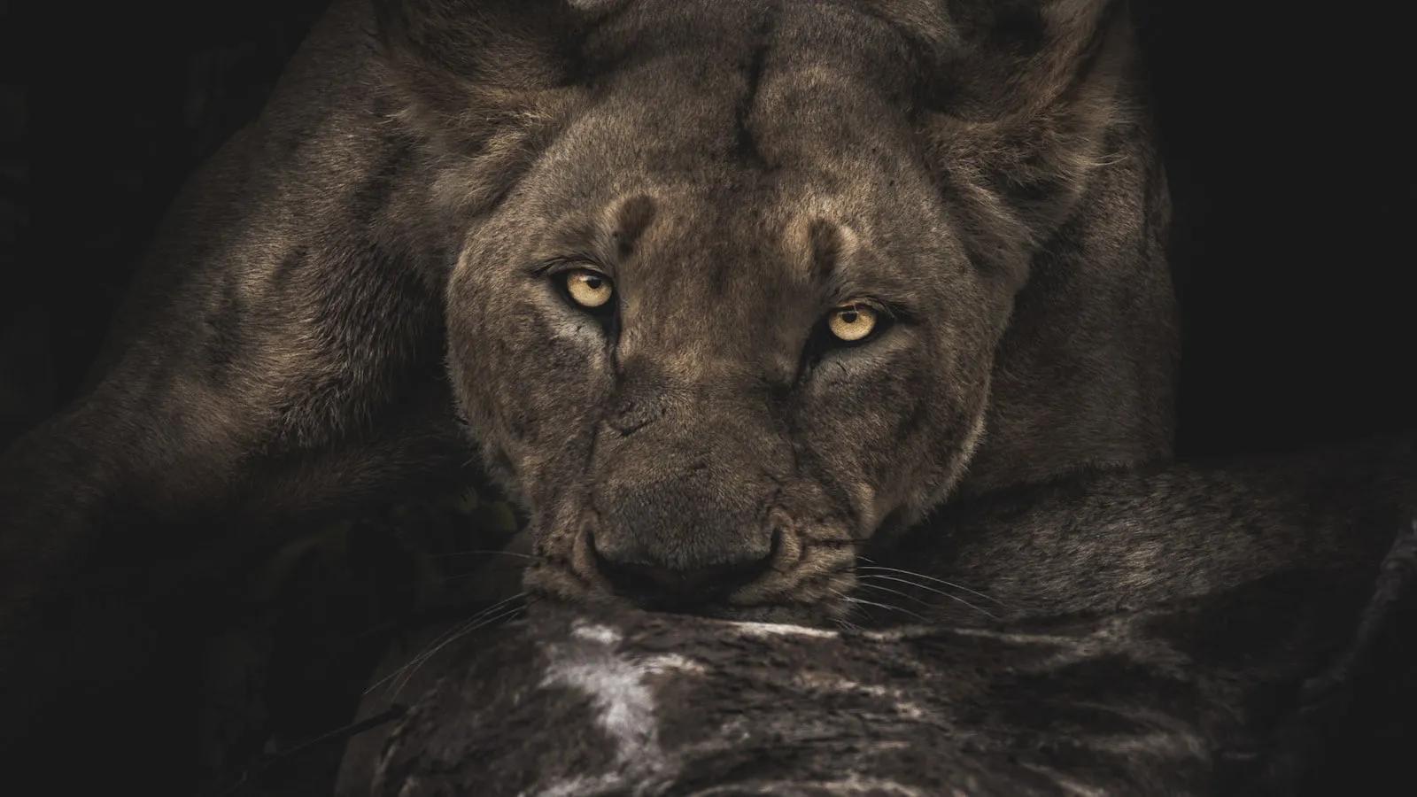 当亲人变成陌生人的时候,如果你身边亲人都是小人怎么办