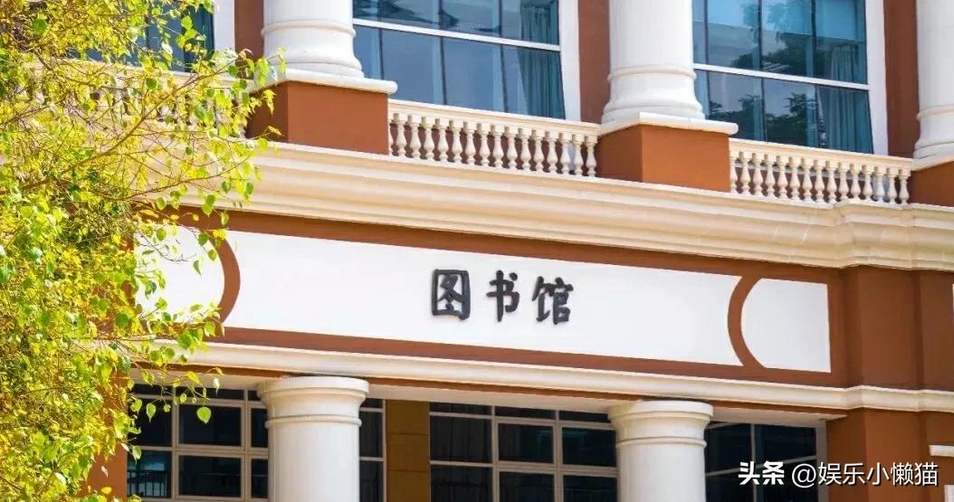 深职是全国最好的大专吗,深职专科排名