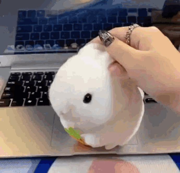 动态搞笑gif视频素材,搞笑gif段子帅不过三秒没毛病