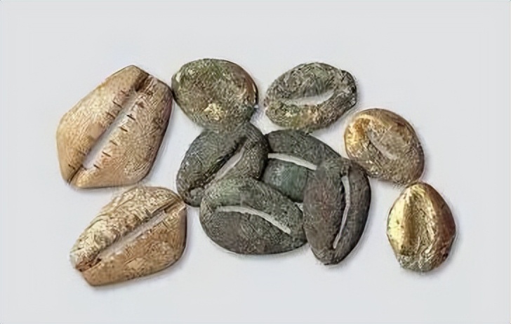 最值钱最罕见的古钱币,最值钱的5个古钱币是啥