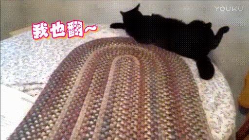 黑驾校有哪些猫腻,正规驾校和黑驾校