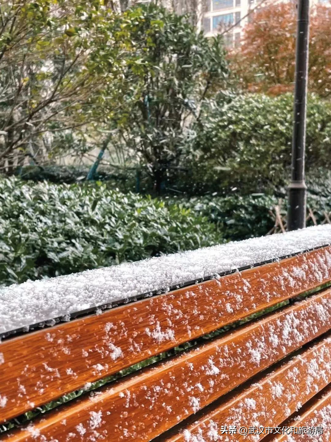 江夏区下大雪了吗,今天江夏区在下雪吗