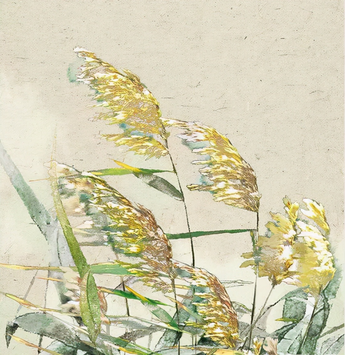 最美二十四节气诗词图,关于夏季节气的诗以及画