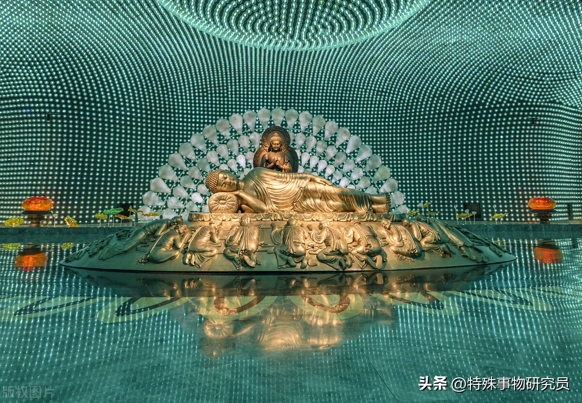 南京奥体四季之美,南京真的很美吗