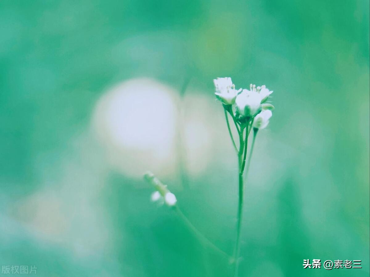 女作家去做保姆最新一期内容,女作家去做保姆520