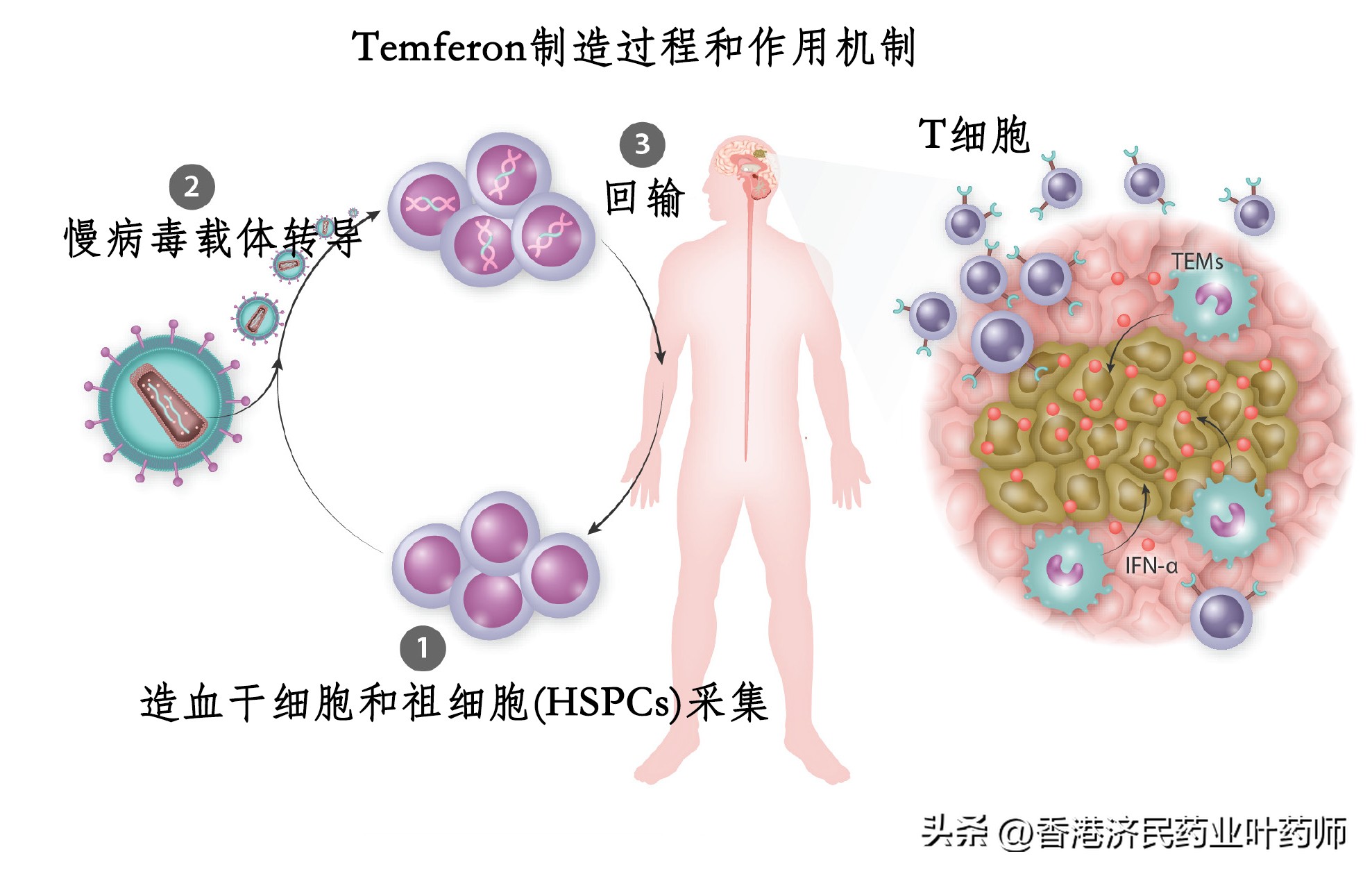 fda批准的抗癌新药,fda治疗骨质疏松新药