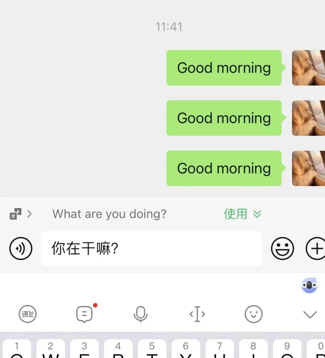 微信隐藏功能视频教学,微信里表情包的隐藏功能
