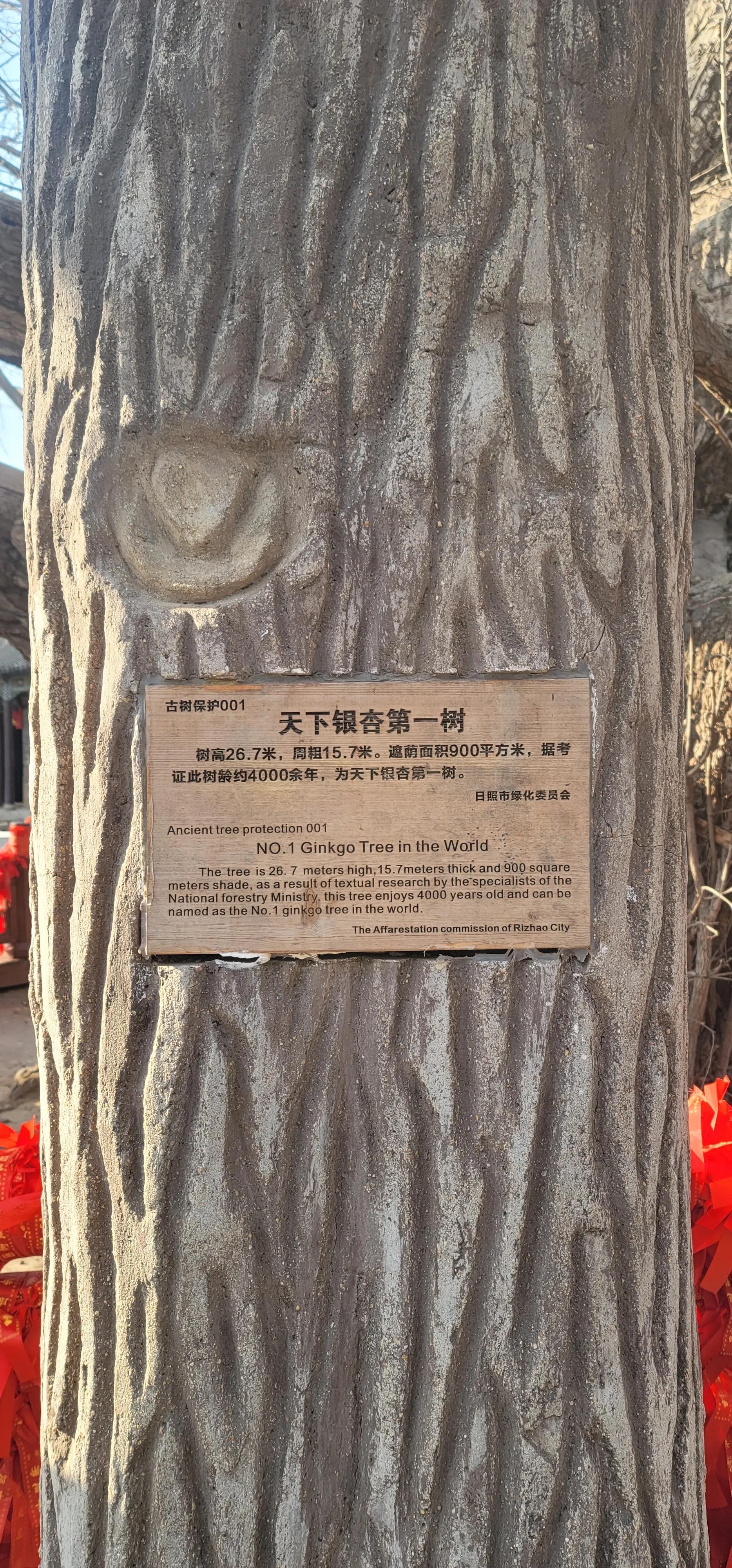 开着沪牌回老家怎么样,开着大巴玩转江浙沪