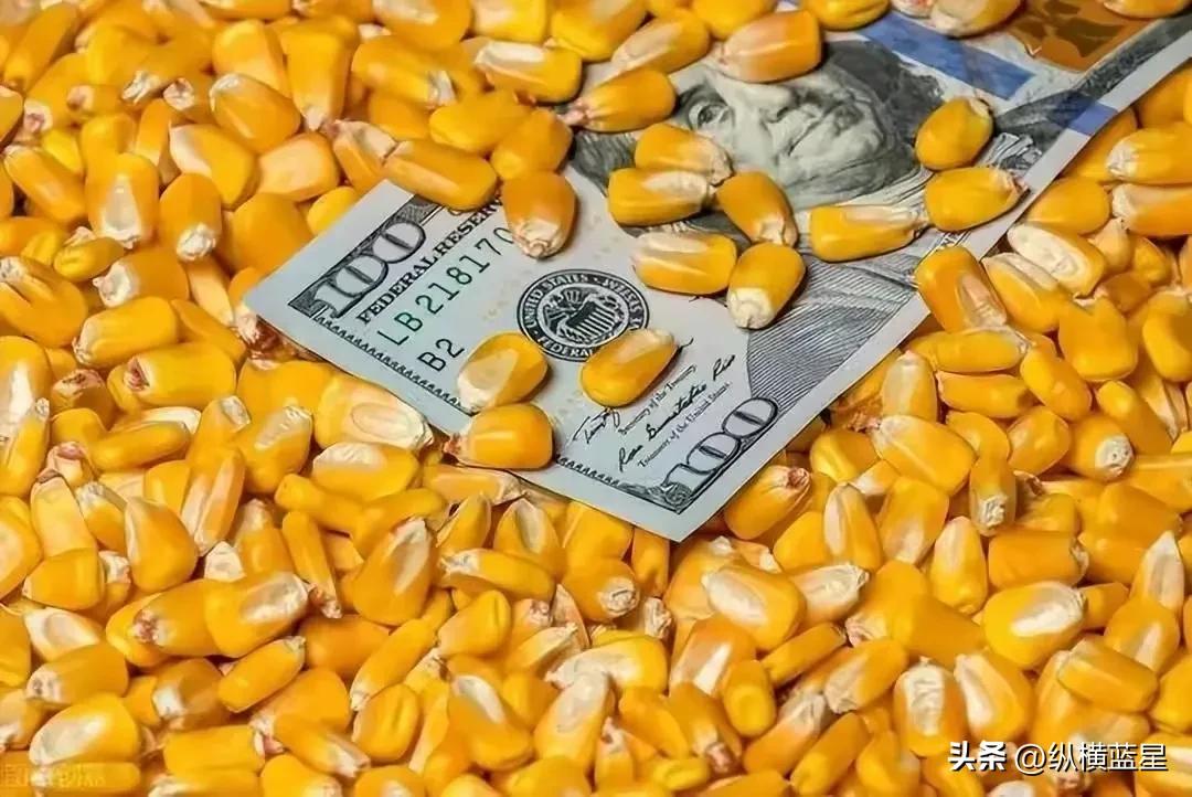 狂舞桑巴,桑巴狂舞电影