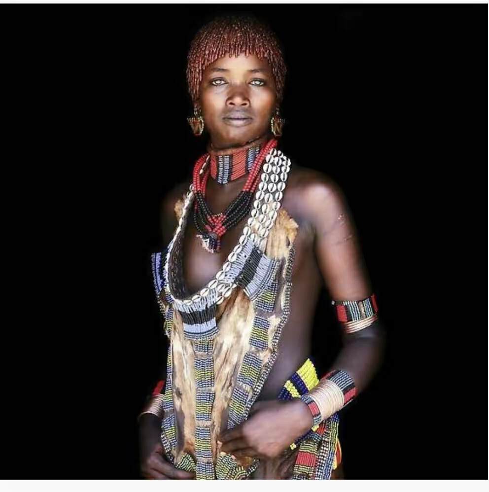 山海经2012白话全译彩图版pdf,山海经海外西经是指哪里